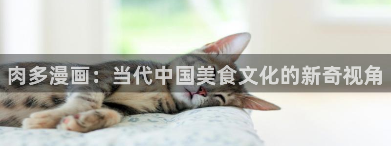 搞鸡羞羞漫画韩漫：肉多漫画：当代中国美食文化的新奇视角